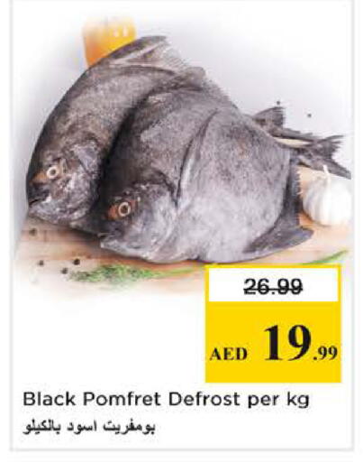 available at Nesto Hypermarket in UAE - Abu Dhabi