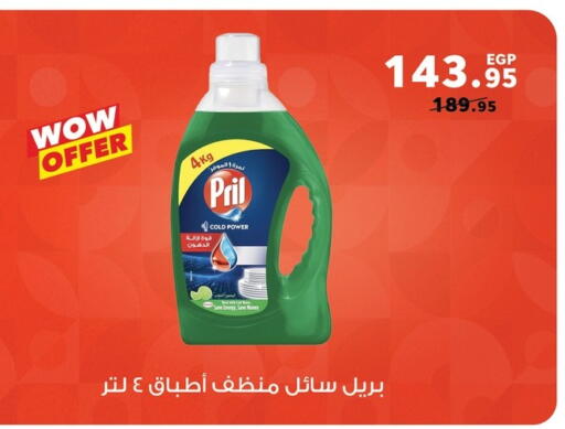 available at بنده in Egypt - القاهرة