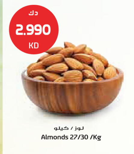 available at جراند كوستو in الكويت - مدينة الكويت