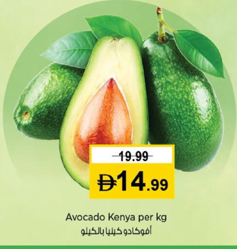 Avocado from Kenya available at نستو هايبرماركت in الإمارات العربية المتحدة , الامارات - الشارقة / عجمان