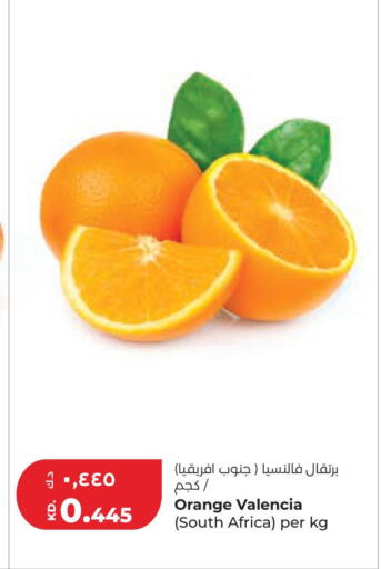 Orange from South Africa available at Lulu Hypermarket  in Kuwait - Kuwait City