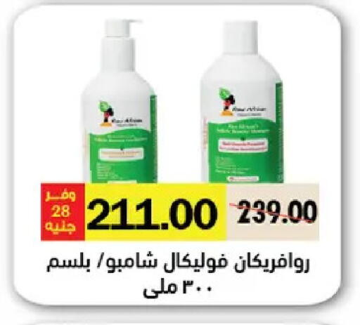 available at Royal House in Egypt - Cairo