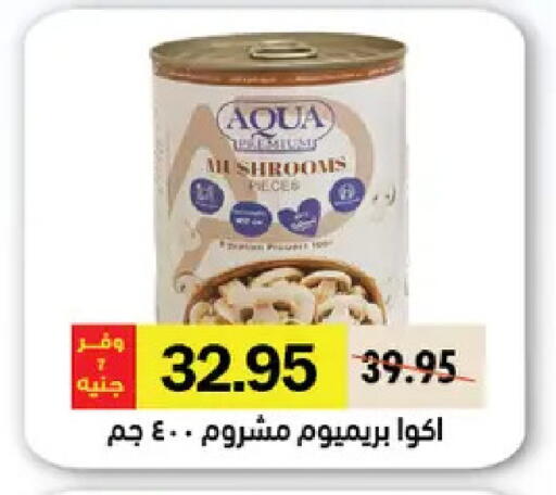 available at Royal House in Egypt - Cairo