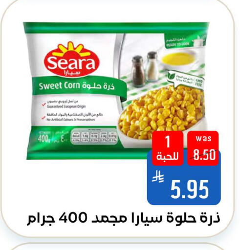 available at شبرا الطائف in مملكة العربية السعودية, السعودية, سعودية - الطائف