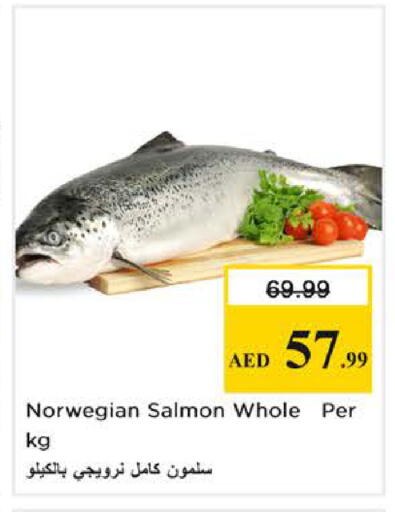 available at نستو هايبرماركت in الإمارات العربية المتحدة , الامارات - الشارقة / عجمان