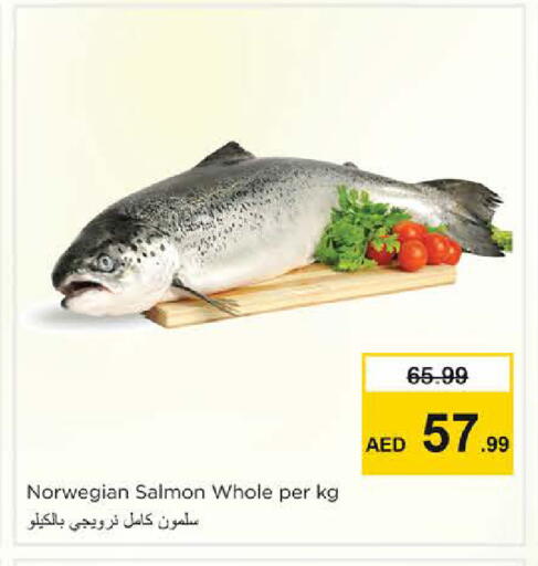 available at نستو هايبرماركت in الإمارات العربية المتحدة , الامارات - الشارقة / عجمان