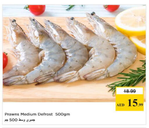 available at نستو هايبرماركت in الإمارات العربية المتحدة , الامارات - دبي