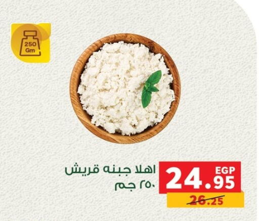 available at Panda  in Egypt - Cairo