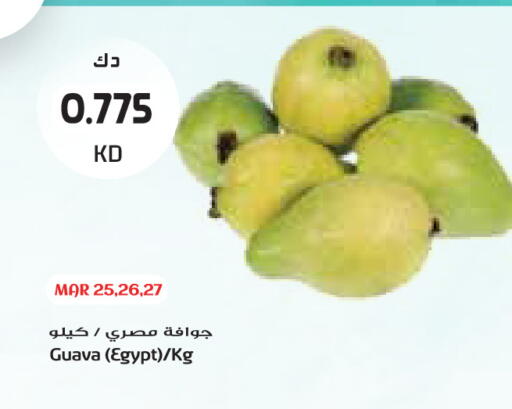 Guava from Egypt available at Grand Costo in Kuwait - Kuwait City