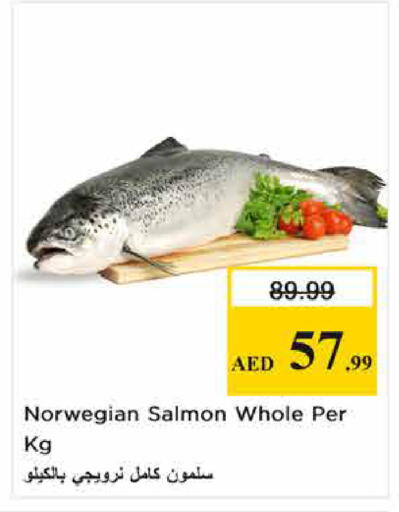 available at نستو هايبرماركت in الإمارات العربية المتحدة , الامارات - الشارقة / عجمان