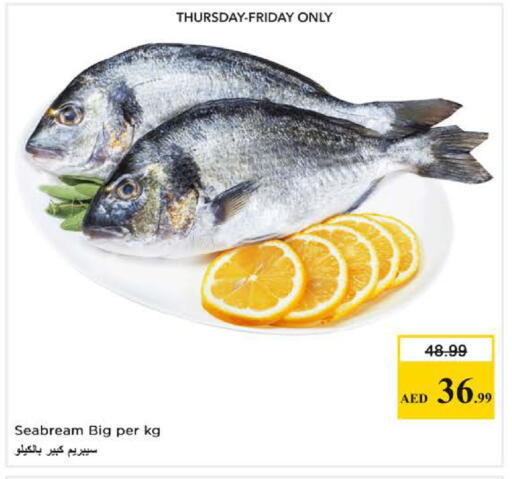 available at نستو هايبرماركت in الإمارات العربية المتحدة , الامارات - دبي