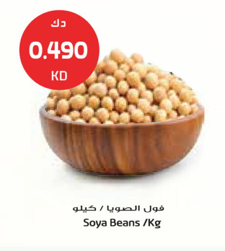 available at Grand Costo in Kuwait - Kuwait City