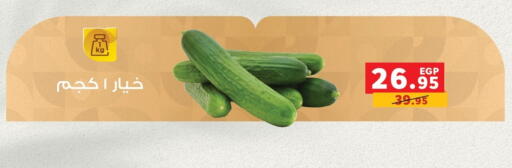 available at Panda  in Egypt - Cairo