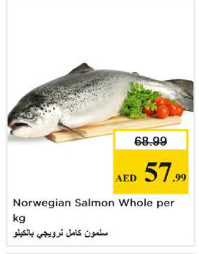 available at Nesto Hypermarket in UAE - Abu Dhabi