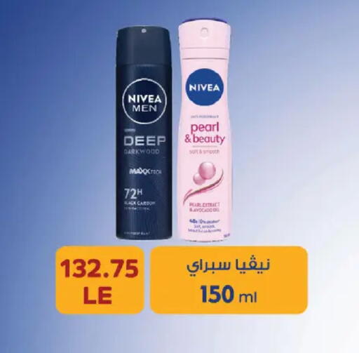 Avocado available at Royal House in Egypt - Cairo