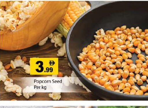 available at جلف هايبرماركت ذ.م.م in الإمارات العربية المتحدة , الامارات - رَأْس ٱلْخَيْمَة