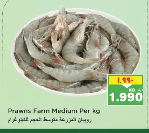 available at نستو هايبر ماركت in الكويت