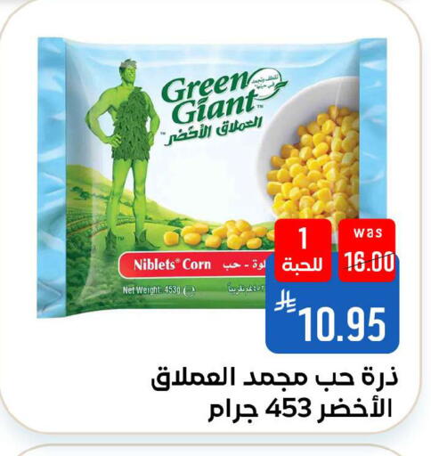 available at شبرا الطائف in مملكة العربية السعودية, السعودية, سعودية - الطائف