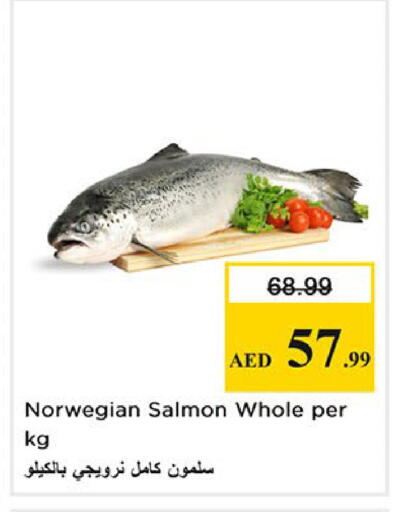 available at Nesto Hypermarket in UAE - Fujairah