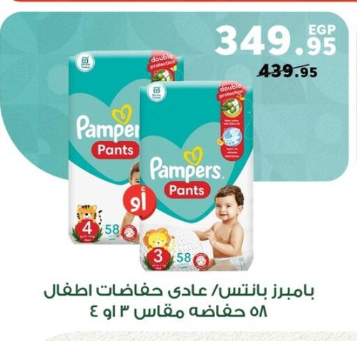 available at Panda  in Egypt - Cairo