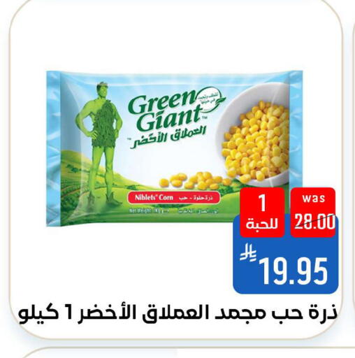 available at شبرا الطائف in مملكة العربية السعودية, السعودية, سعودية - الطائف