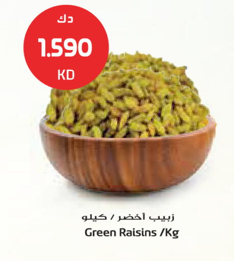 available at جراند كوستو in الكويت - مدينة الكويت