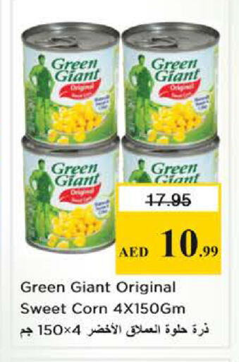 available at نستو هايبرماركت in الإمارات العربية المتحدة , الامارات - الشارقة / عجمان