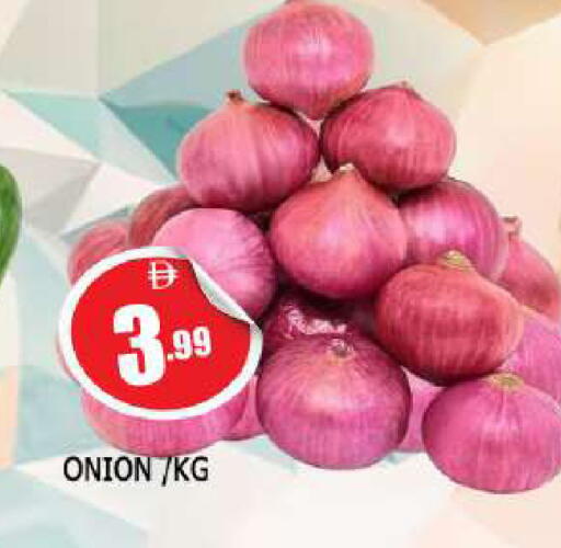 Onion available at المدينة in الإمارات العربية المتحدة , الامارات - الشارقة / عجمان
