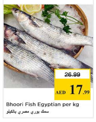 available at Nesto Hypermarket in UAE - Abu Dhabi