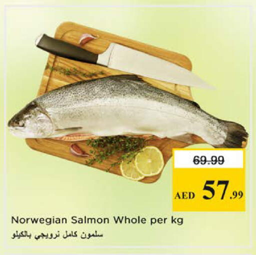 available at نستو هايبرماركت in الإمارات العربية المتحدة , الامارات - الشارقة / عجمان