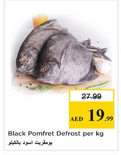 available at Nesto Hypermarket in UAE - Fujairah