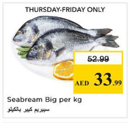 available at Nesto Hypermarket in UAE - Abu Dhabi