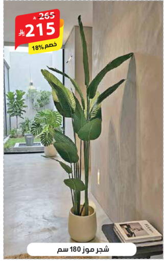 available at الهدايا سنتر in مملكة العربية السعودية, السعودية, سعودية - جدة