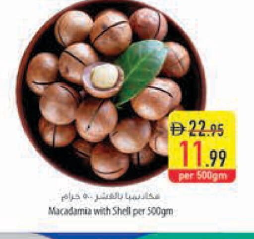 available at Safeer Market in UAE - Sharjah / Ajman