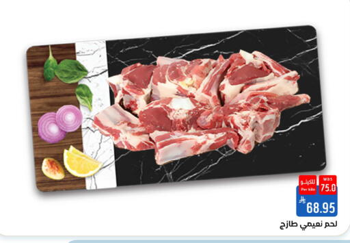 available at شبرا الطائف in مملكة العربية السعودية, السعودية, سعودية - الطائف