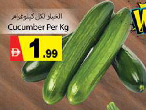 Cucumber available at جلف هايبرماركت ذ.م.م in الإمارات العربية المتحدة , الامارات - رَأْس ٱلْخَيْمَة