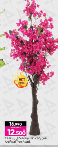 available at أنصار جاليري in البحرين