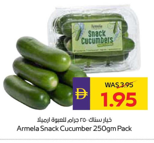 Cucumber available at ADCOOP in UAE - Abu Dhabi