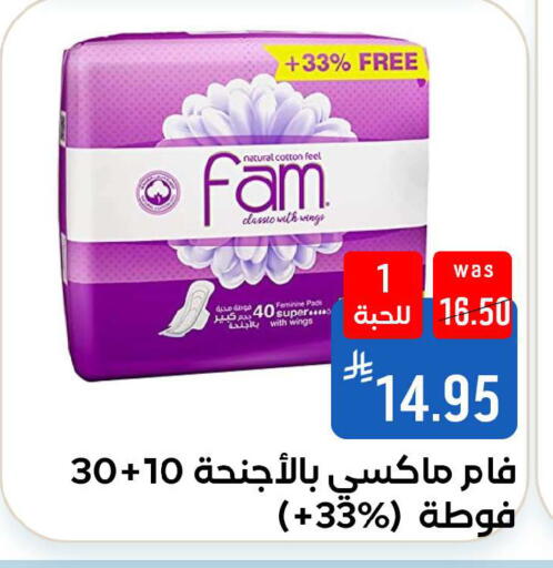 available at شبرا الطائف in مملكة العربية السعودية, السعودية, سعودية - الطائف