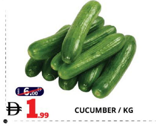 Cucumber available at اكسبرس المدينة هايبرماركت in الإمارات العربية المتحدة , الامارات - أبو ظبي