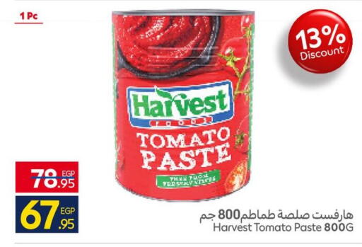 Tomato available at كارفور in Egypt - القاهرة