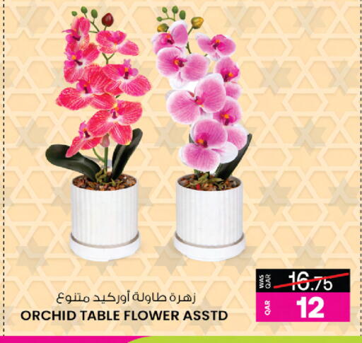 available at أنصار جاليري in قطر - الريان