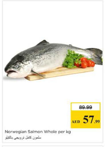 available at نستو هايبرماركت in الإمارات العربية المتحدة , الامارات - الشارقة / عجمان