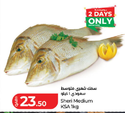 available at LuLu Hypermarket in Qatar - Doha