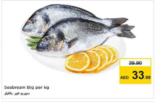 available at نستو هايبرماركت in الإمارات العربية المتحدة , الامارات - دبي