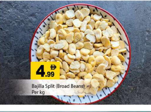 available at جلف هايبرماركت ذ.م.م in الإمارات العربية المتحدة , الامارات - رَأْس ٱلْخَيْمَة