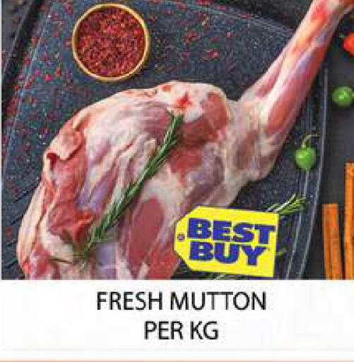 available at Zain Mart Supermarket in UAE - Ras al Khaimah