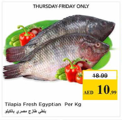 available at نستو هايبرماركت in الإمارات العربية المتحدة , الامارات - الشارقة / عجمان