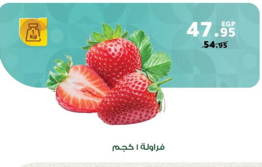 available at بنده in Egypt - القاهرة