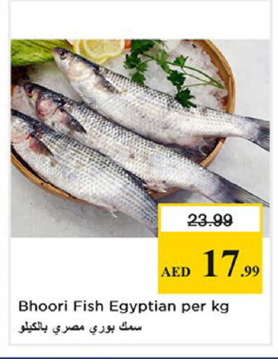 available at Nesto Hypermarket in UAE - Fujairah